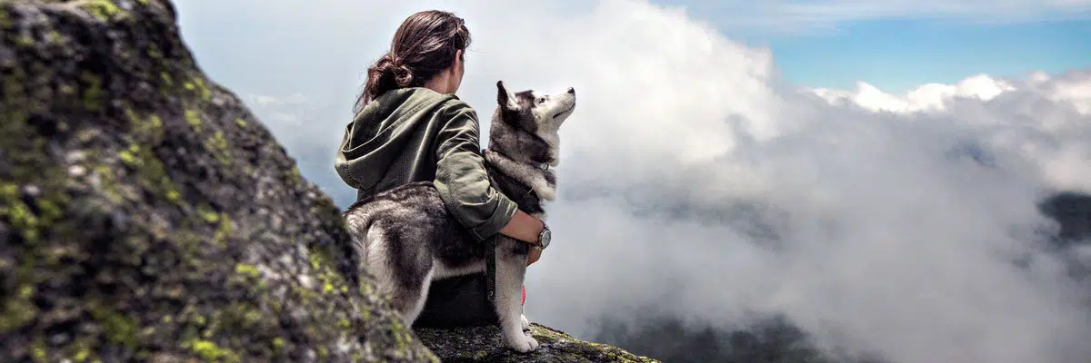 Going On a Hike With Your Dog