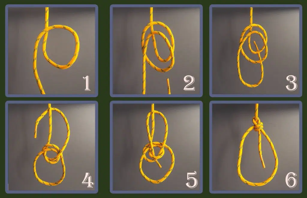 Sequence image to tie a double bowline knot.