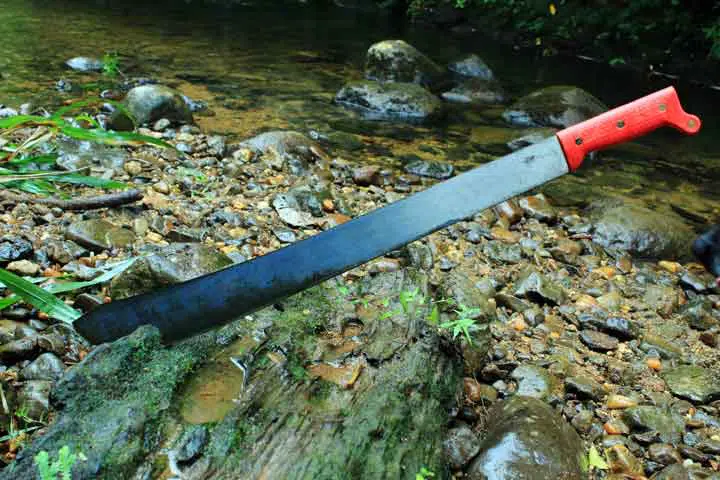A sideview of a machete that has been put in a tree of tropical drift wood