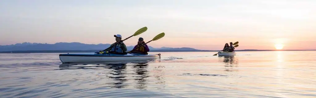 Group of people friends sea kayaking together at sunset in beautiful nature.