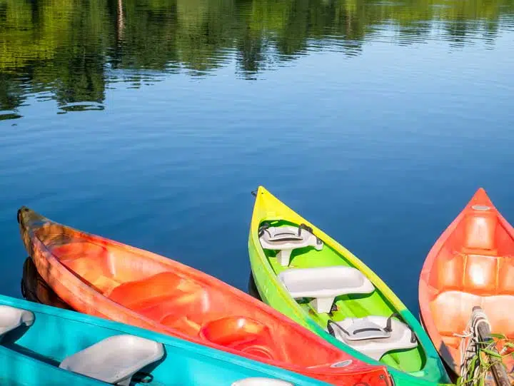 Colored sit on top kayaks or boats for rent. 
