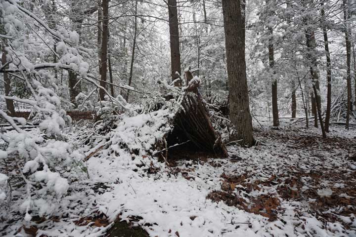 Primitive Winter A Frame Survival Shelter in the Blue Ridge Mountains near Asheville, North Carolina. 